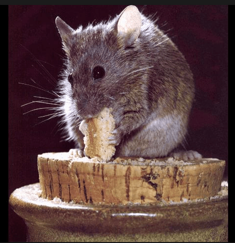 Screen Shot 2014-11-07 at 5.59.56 PM