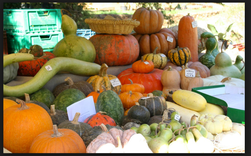 Screen Shot 2014-11-07 at 6.09.07 PM