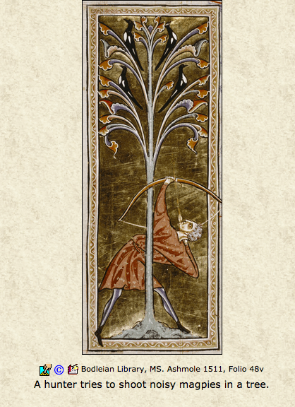 Screen Shot 2015-09-28 at 6.08.55 PM