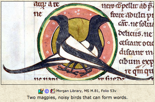 Screen Shot 2015-09-28 at 6.09.50 PM