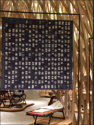 Screen Shot 2015-10-22 at 9.32.47 PM