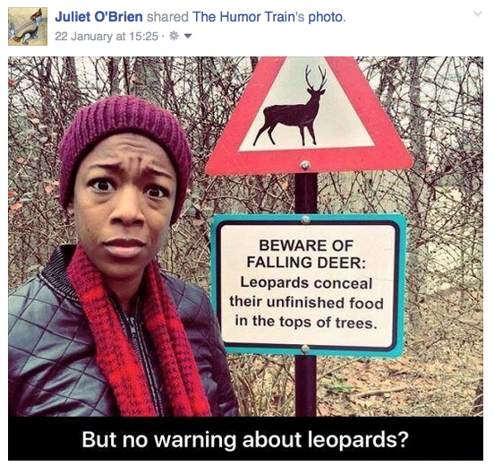 Screen Shot 2016-01-25 at 5.50.22 PM