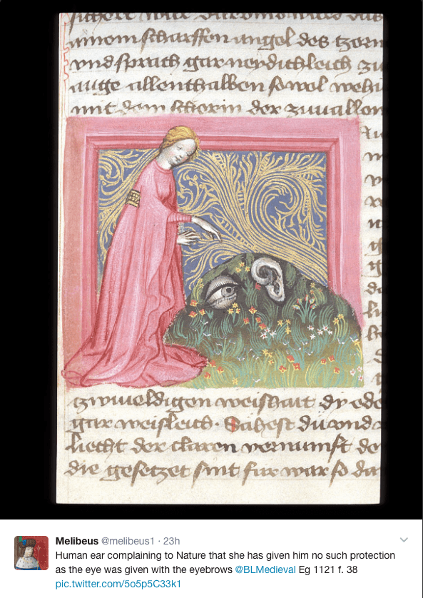 Screen Shot 2017-06-02 at 8.00.55 PM.png