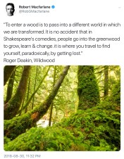 F495EB54-12D1-46A8-9EF5-AFE85BCE40FD